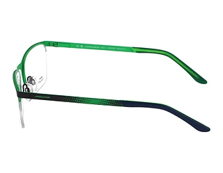 Seitenansicht Jaguar 33599 (3100)