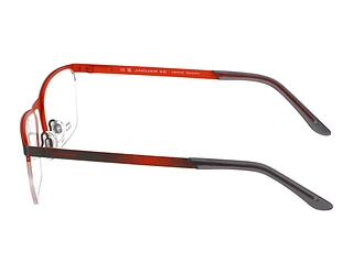 Seitenansicht Jaguar 33599 (4200)