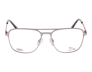 Seitenansicht Jaguar 33613 (1000)