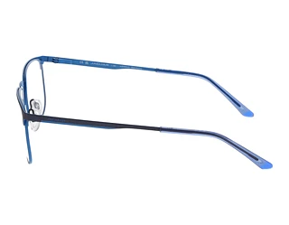 Seitenansicht Jaguar 33616 (3100)