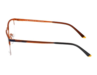 Seitenansicht Jaguar 33619 (3100)