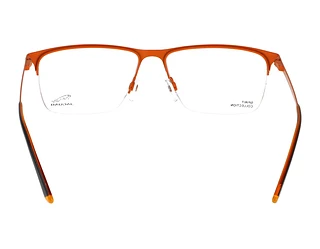 Rückansicht Jaguar 33619 (3100)