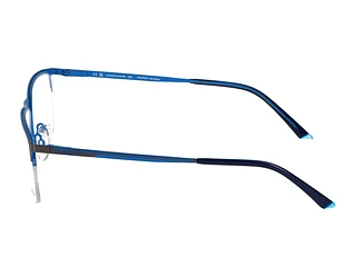 Seitenansicht Jaguar 33619 (4200)