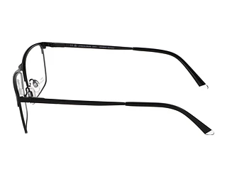 Seitenansicht Jaguar 33620 (6100)