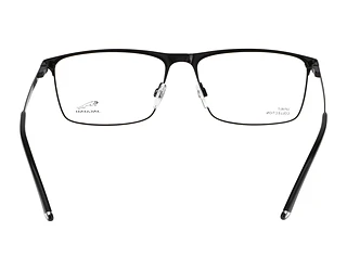 Rückansicht Jaguar 33620 (6100)