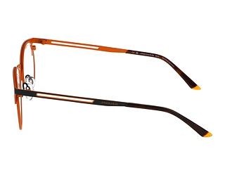 Seitenansicht Jaguar 33628 (4100)