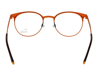 Rückansicht Jaguar 33628 (4100)