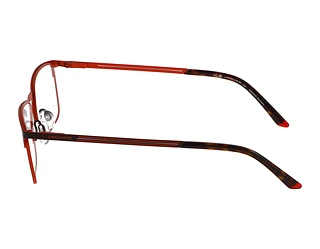 Seitenansicht Jaguar 33629 (5100)