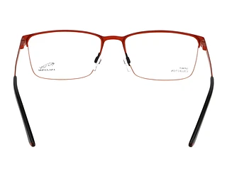 Rückansicht Jaguar 33630 (6100)