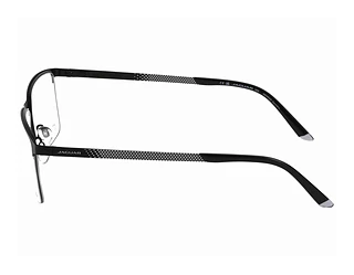 Seitenansicht Jaguar 33633 (6100)