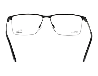 Rückansicht Jaguar 33633 (6100)