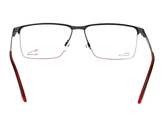 Rückansicht Jaguar 33633 (6500)