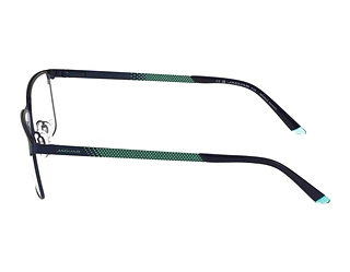 Seitenansicht Jaguar 33634 (3100)