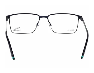 Rückansicht Jaguar 33634 (3100)