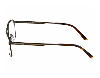 Seitenansicht Jaguar 33635 (4100)