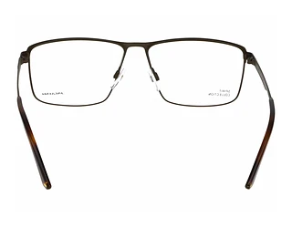 Rückansicht Jaguar 33635 (4100)