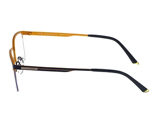 Seitenansicht Jaguar 33636 (3100)