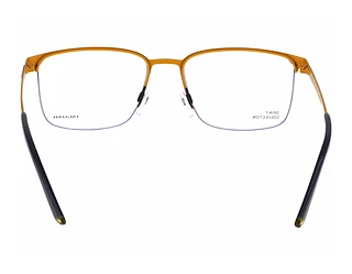 Rückansicht Jaguar 33636 (3100)