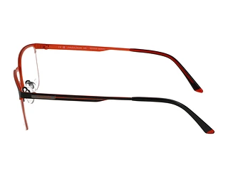 Seitenansicht Jaguar 33636 (6100)