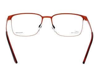 Rückansicht Jaguar 33636 (6100)