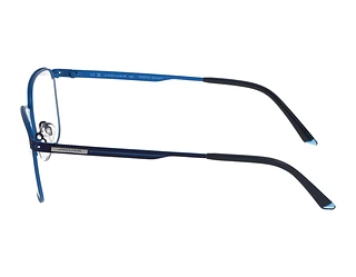 Seitenansicht Jaguar 33637 (3100)