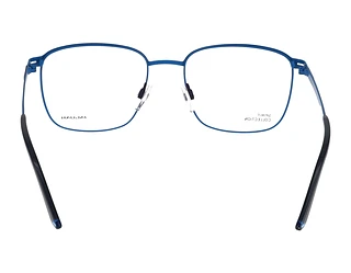 Rückansicht Jaguar 33637 (3100)