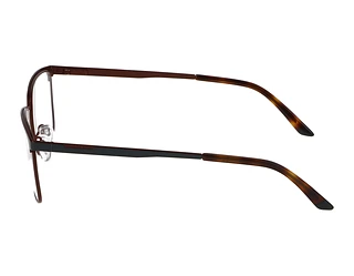 Seitenansicht Jaguar 33638 (4100)