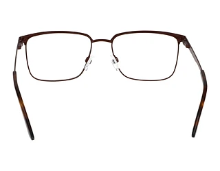 Rückansicht Jaguar 33638 (4100)