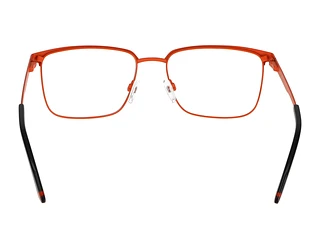 Rückansicht Jaguar 33638 (6100)