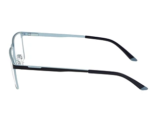 Seitenansicht Jaguar 33639 (3100)