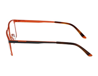 Seitenansicht Jaguar 33639 (4100)