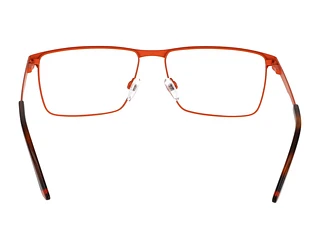 Rückansicht Jaguar 33639 (4100)