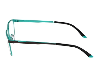 Seitenansicht Jaguar 33639 (4200)