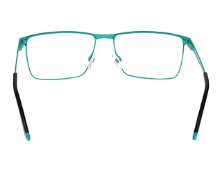 Rückansicht Jaguar 33639 (4200)