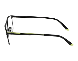 Seitenansicht Jaguar 33639 (6100)