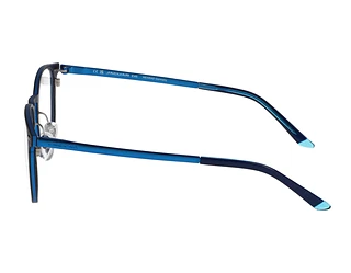 Seitenansicht Jaguar 33641 (3100)