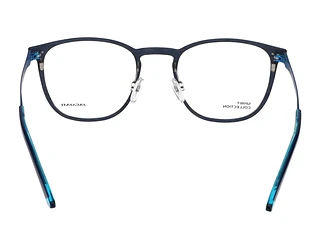 Rückansicht Jaguar 33641 (3100)