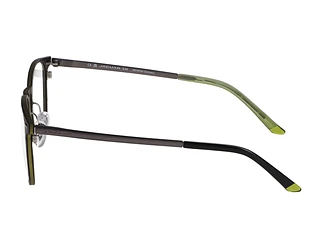 Seitenansicht Jaguar 33641 (5100)