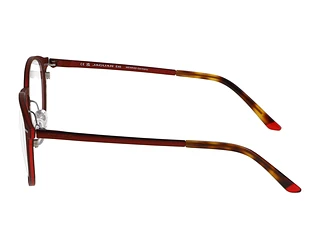 Seitenansicht Jaguar 33642 (2100)