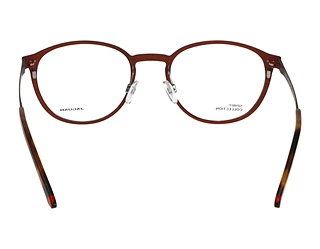 Rückansicht Jaguar 33642 (2100)