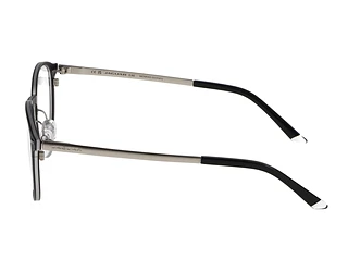 Seitenansicht Jaguar 33642 (6100)