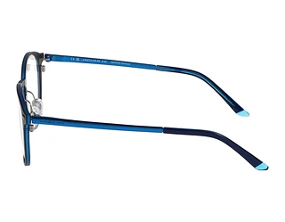 Seitenansicht Jaguar 33642 (6500)