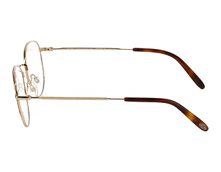 Seitenansicht Jaguar 33721 (6000)