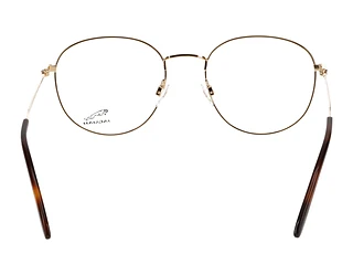 Rückansicht Jaguar 33721 (6000)