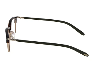 Seitenansicht Jaguar 33722 (8940)