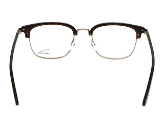 Rückansicht Jaguar 33722 (8940)