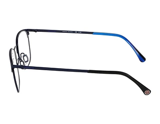 Seitenansicht Jaguar 33836 (3100)