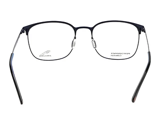 Rückansicht Jaguar 33836 (3100)