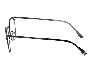 Seitenansicht Jaguar 33842 (4200)