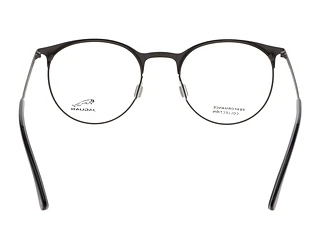 Rückansicht Jaguar 33842 (4200)